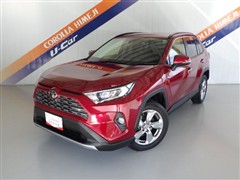 RAV4 G