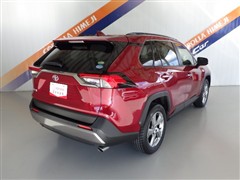 RAV4 G