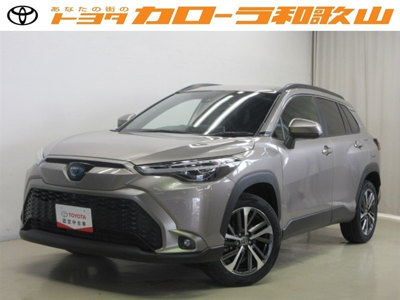 ちろろページ シャロウページ Zero Gravity Racing Windshields for the Kawasaki ZX