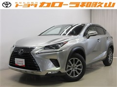 NX300 Iパッケージ