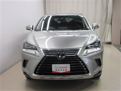 NX300 Iパッケージ