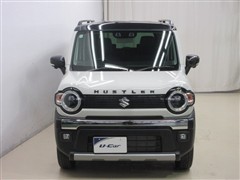 ハスラー タフワイルド