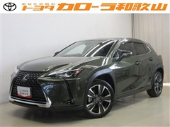 UX250h バージョンC