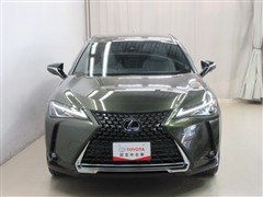 UX250h バージョンC