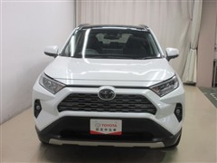 RAV4 G