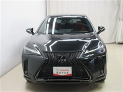 UX 250h Fスポーツ