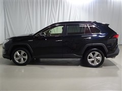 RAV4 ハイブリッドG