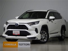 RAV4 ハイブリッドX