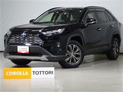 RAV4 ハイブリッドG 4WD