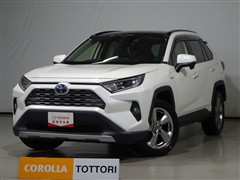 RAV4 ハイブリッドG 4WD