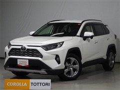 RAV4 G