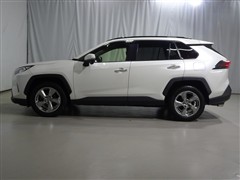 RAV4 G
