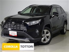 RAV4 G