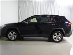 RAV4 G