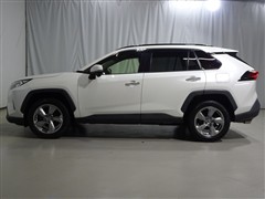 RAV4 G