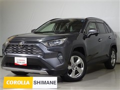 RAV4 G