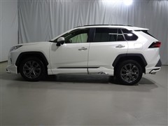 RAV4 G