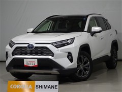 RAV4 ハイブリッドG