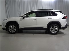 RAV4 G