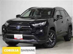 RAV4 HV アドベンチャー