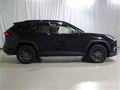 RAV4 X