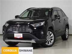 RAV4 G Zパッケージ