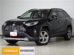 RAV4 ハイブリッドG