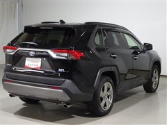 RAV4 ハイブリッドG