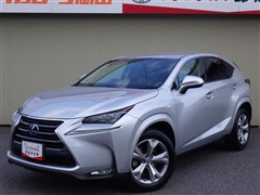 NX300h バージョンL