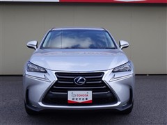 NX300h バージョンL