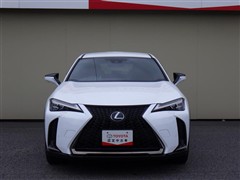 UX250h Fスポ-ツ