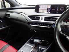 UX250h Fスポ-ツ
