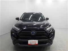 RAV4 HV アドベンチャー