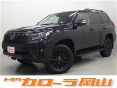 ランクル プラドTX LマットBLC