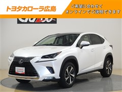 NX300h Iパッケージ