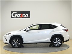 NX300h Iパッケージ