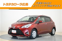 ヴィッツ Fアミー