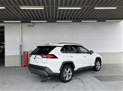 RAV4 HEV G
