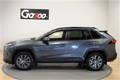 RAV4 HEV G