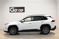 RAV4 G