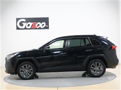 RAV4 G