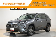 RAV4 HEV G
