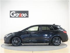 カローラツーリングHEV WxB