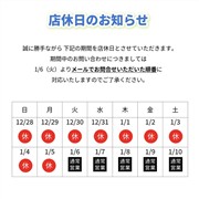 アクセラSP 15Sプロアクティブ