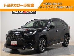 RAV4 G