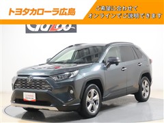 RAV4 G