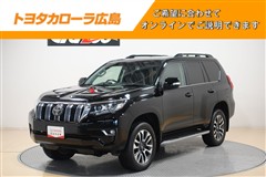 ランドクルーザープラド TZ-G