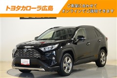 RAV4 G