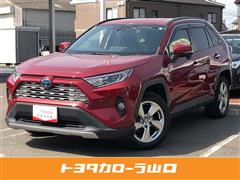 RAV4 HV G