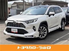 RAV4 G Zパッケージ